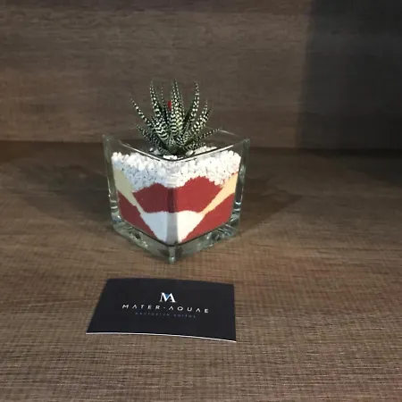 Mater Aquae Maison d'hôtes